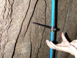 283857_10150260441644901_6279520_n